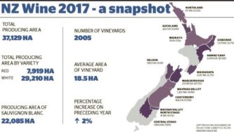 NZ wine, a 2017 snapshot.