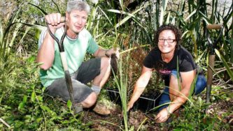 Pernod Ricard's Kaituna wetlands project has seen large numbers of natives planted | Derek Flynn