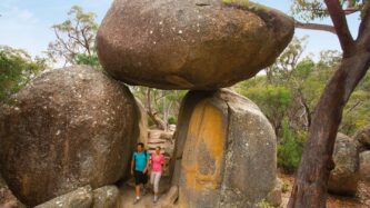 Discover a spectacular setting of giant granite boulders in Girraween National Park.