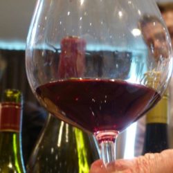 Swirl, sniff and spit: pinot noir lovers hit town