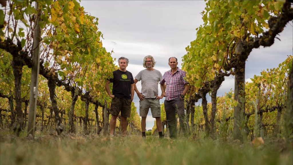 ‘Brothers’ Launch Gisborne 2024 Albarino Wine