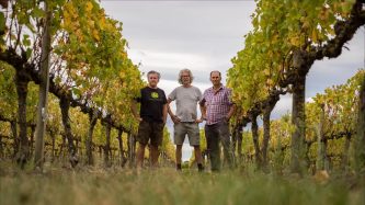 The Albarino Brothers – Ant Saunders, Ollie Powrie and Shaye Bird – have launched their Gisborne 2024 Albarino wine. Photo / Richard Brimer